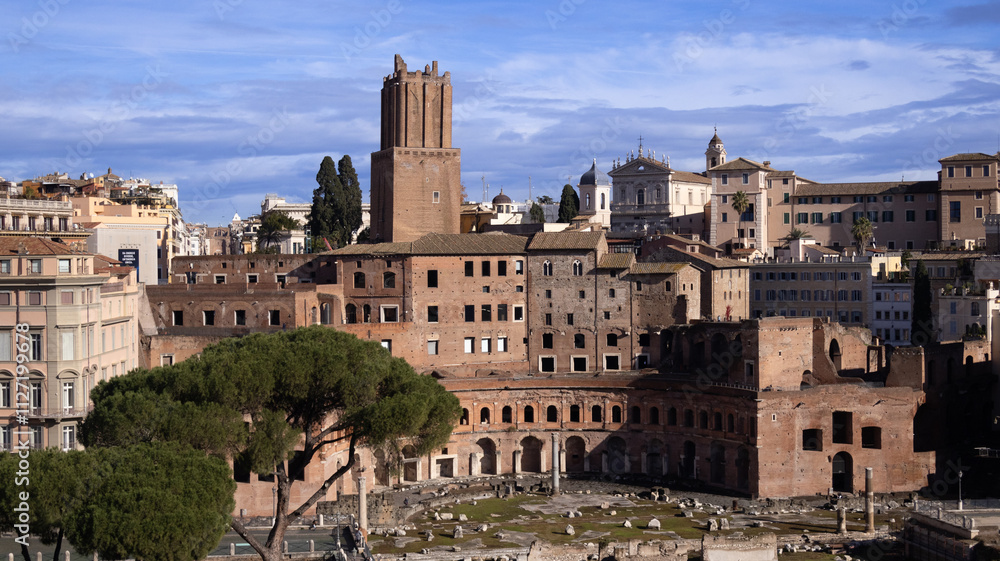 Obraz premium Rome Italy Travel Beauty Collisé Bird Sky