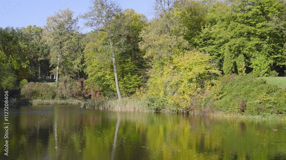 The photo shows a serene autumn landscape with a calm river surrounded by trees in shades of yellow, orange, and green. The clear blue sky adds to the peaceful atmosphere. The photo shows a serene autumn landscape with a calm river surrounded by trees in shades of yellow, orange, and green. The clear blue sky adds to the peaceful atmosphere.