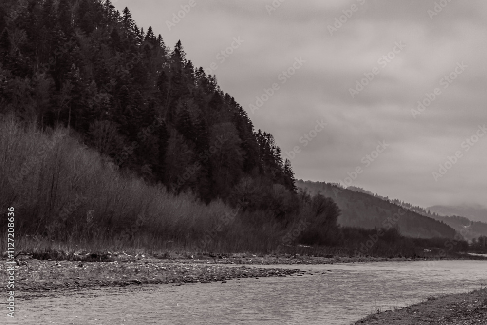 Fototapeta premium Landscapes - Forest - Europe, Romania, Suceava region 