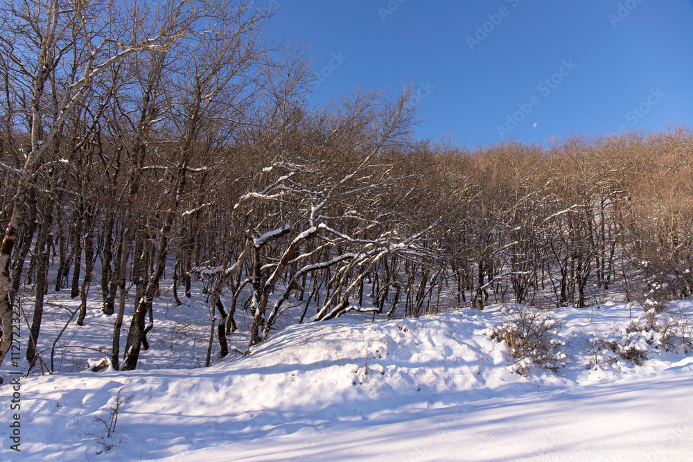 Beautiful sunrise in a small forest. Khyzy. Azerbaijan. Beautiful sunrise in a small forest. Khyzy. Azerbaijan.