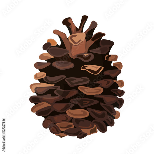 A single, brown pine cone isolated on a white background