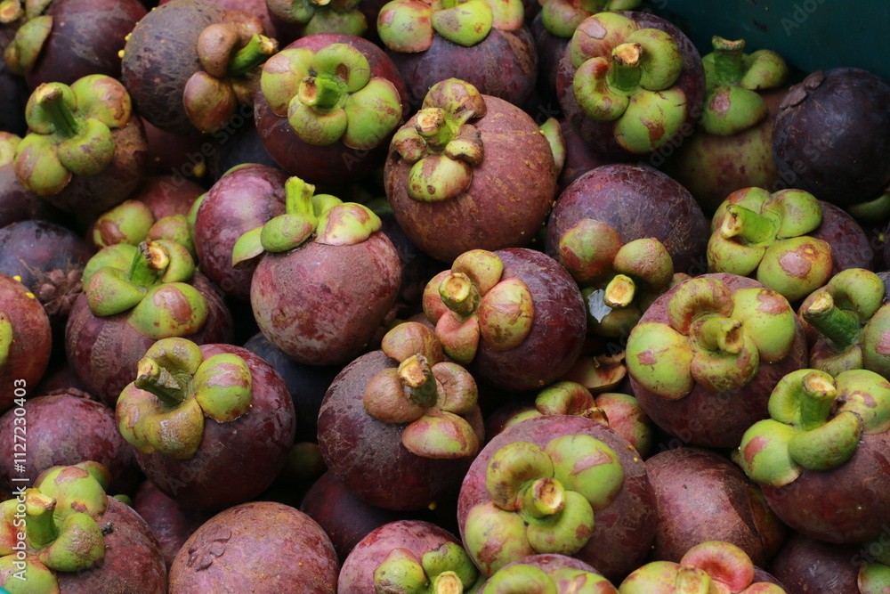 Several fresh mangosteens just harvested from the mangosteen garden. in the southern region of Thailand
Several fresh mangosteens just harvested from the mangosteen garden. in the southern region of Thailand