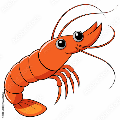 illustration of shrimp