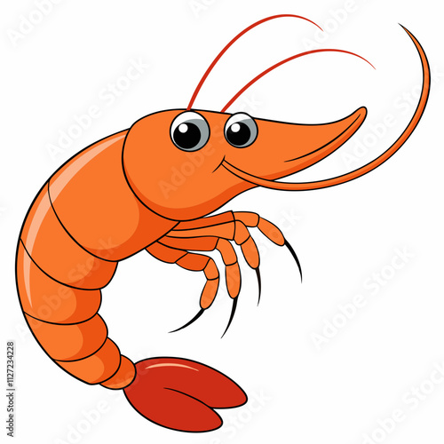 illustration of shrimp