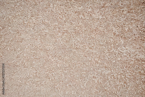 Wallpaper Mural A photo of a textured surface made of a fine, granulated material Torontodigital.ca