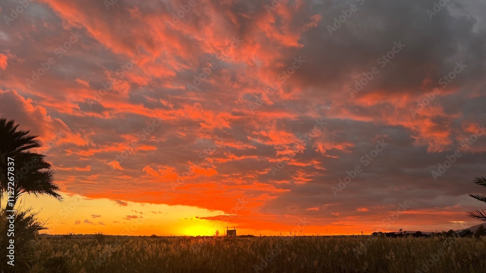 puesta de sol en el campo espectacular con cielo rojo y naranja . ideal para anuncios puesta de sol en el campo espectacular con cielo rojo y naranja . ideal para anuncios