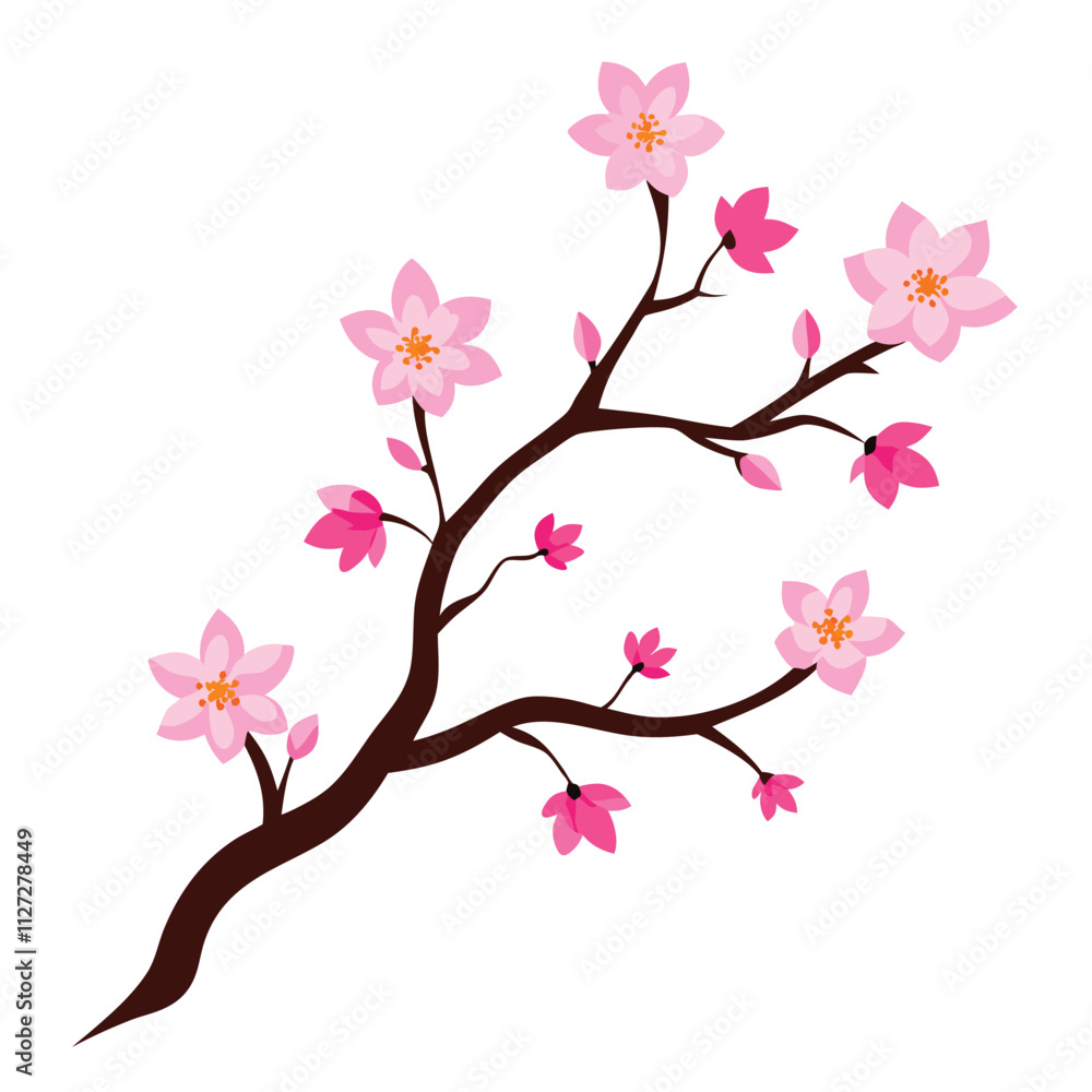Fototapeta premium Beautiful sakura flowers isolated on white