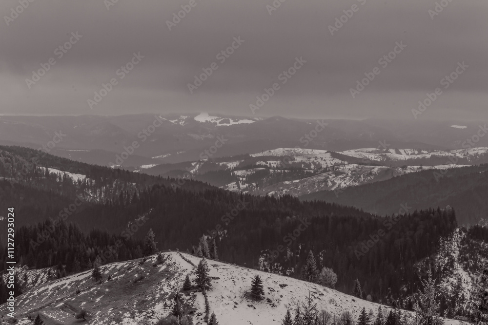 Obraz premium Landscapes - Forest - Europe, Romania, Suceava region 