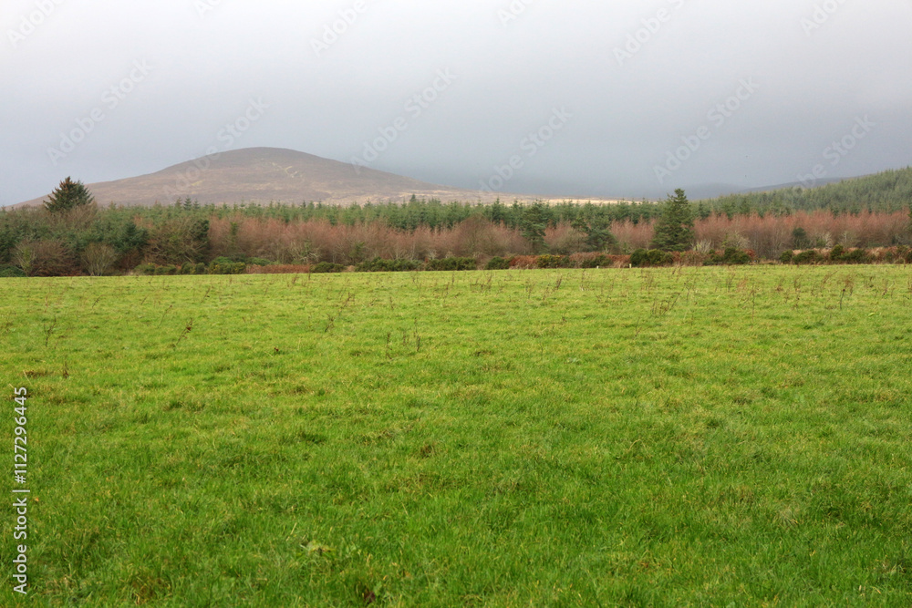 Obraz premium Countryside surrounding Mount Melleray Abbey - Knockmealdown mountains - County Waterford - Ireland