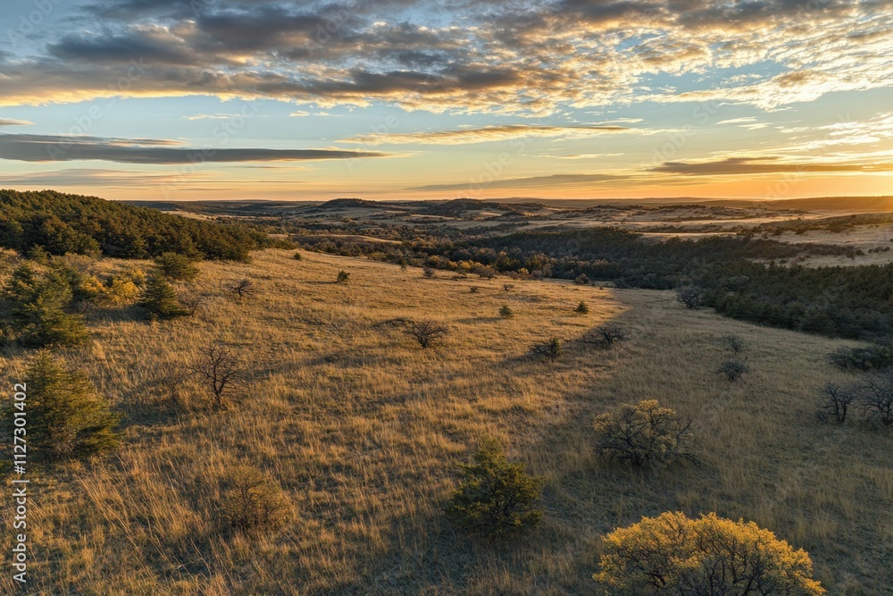 Sunset over expansive grassland with scattered trees in rural landscape Sunset over expansive grassland with scattered trees in rural landscape