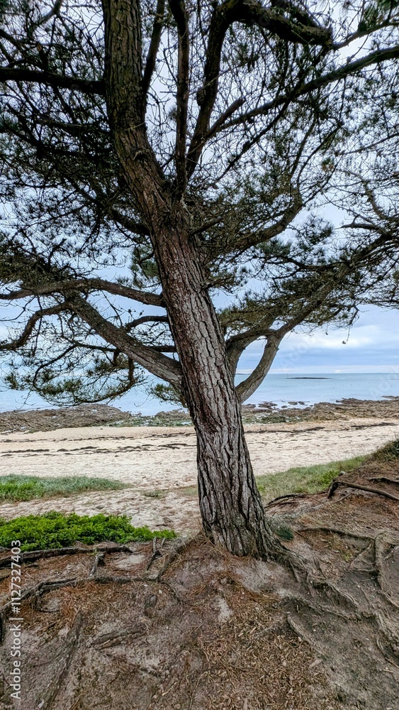 Obraz premium LOCMARIAQUER (Morbihan)