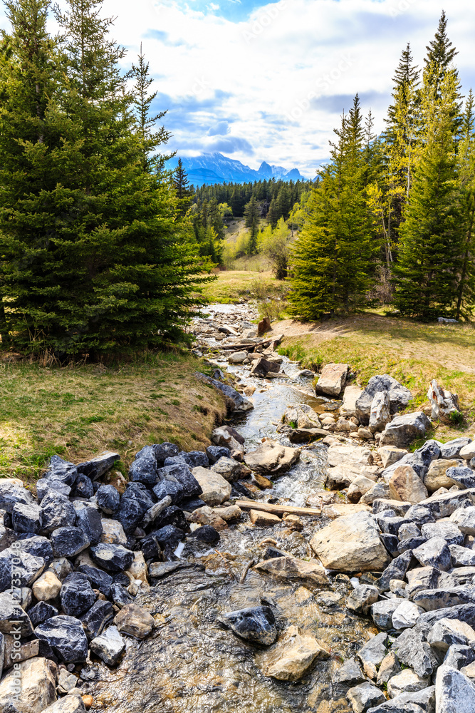A rocky stream with trees in the background A rocky stream with trees in the background