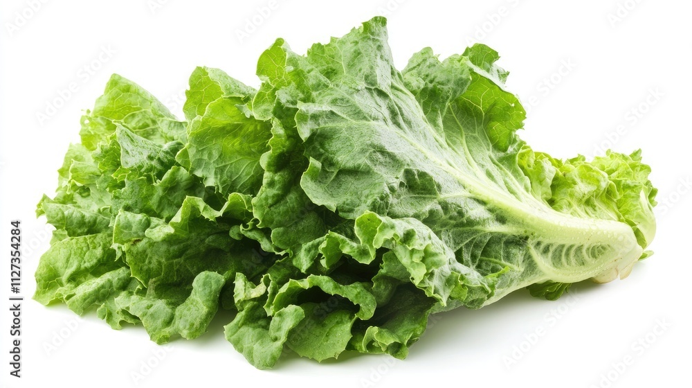Fresh organic lettuce isolated on a white background showcasing vibrant green leaves and natural textures for healthy eating concepts Fresh organic lettuce isolated on a white background showcasing vibrant green leaves and natural textures for healthy eating concepts