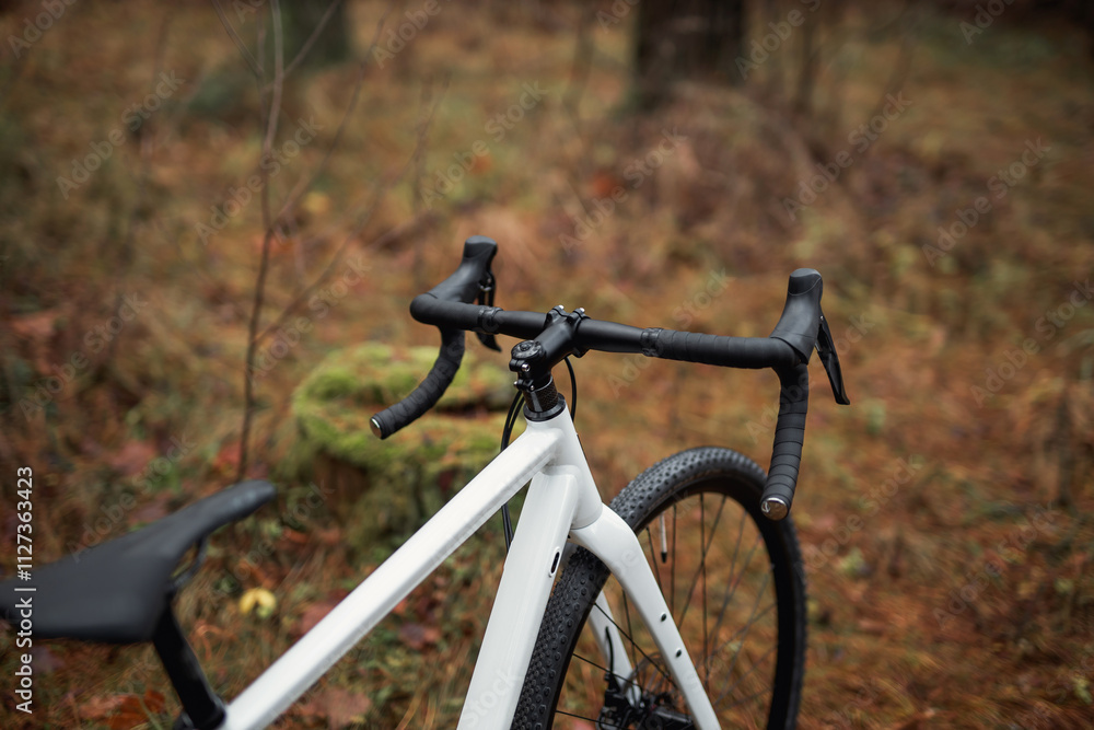 Fototapeta premium Photo of a bicycle in the forest. Travel background