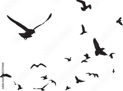 Silhouette of birds flying in the sky.