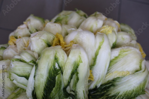 Napa cabbage salted for Korean kimjang