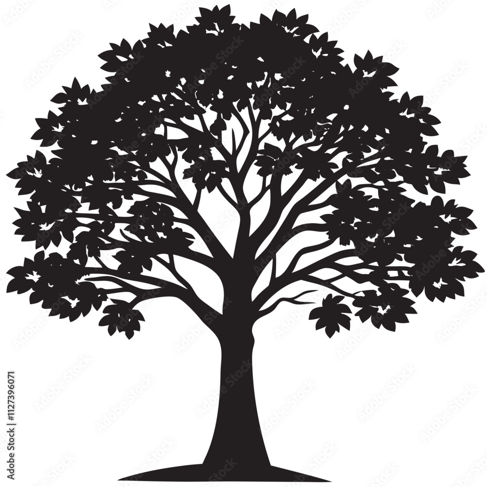 Obraz premium Tree sunset on a isoleted white background