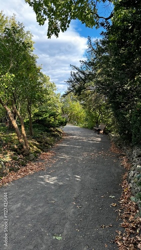 A peaceful park pathway surrounded by lush greenery and fallen leaves, leading to a quiet bench under the canopy of trees