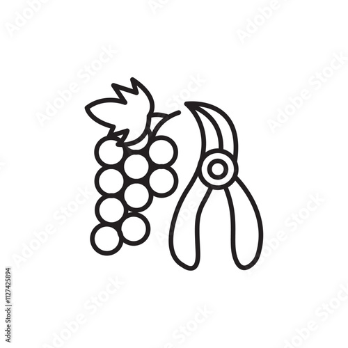 Pruning grape icon Vector flat thin line illustration