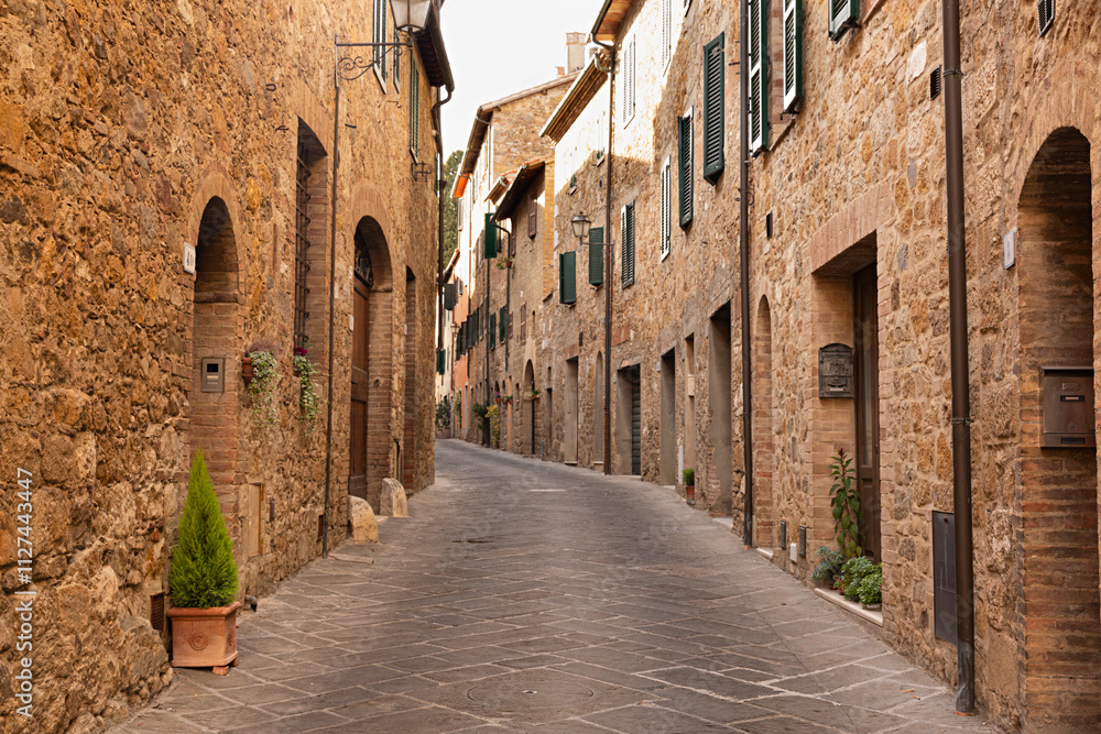 Fototapeta premium Calle de San Quirico D'orcia, Italia.