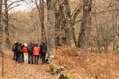 Paisaje en otoño del Hayedo de Montejo con grupo de personas.