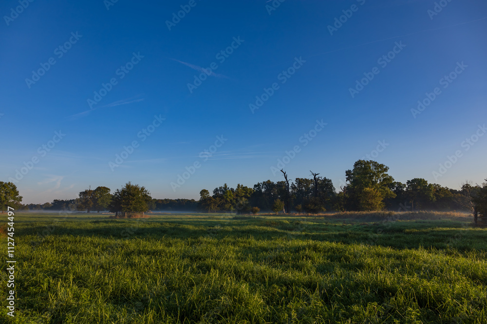 Obraz premium Beautiful autumn landscape at sunrise. Clearing fog. Pohansko Czech Republic Europe