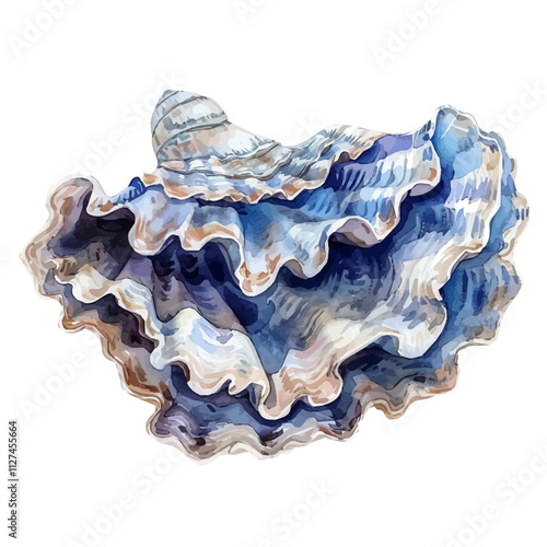 A watercolor of a giant clam, isolated on a white background. Giant clam vector.