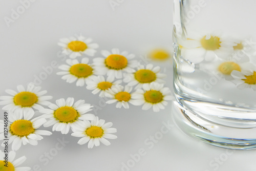 Glass bowl filled with white flowers and water. Glass chamomile with white background. A glass of chamomile with white flowers and a mug of water. A glass of chamomile lifestyle with white flowers. photo