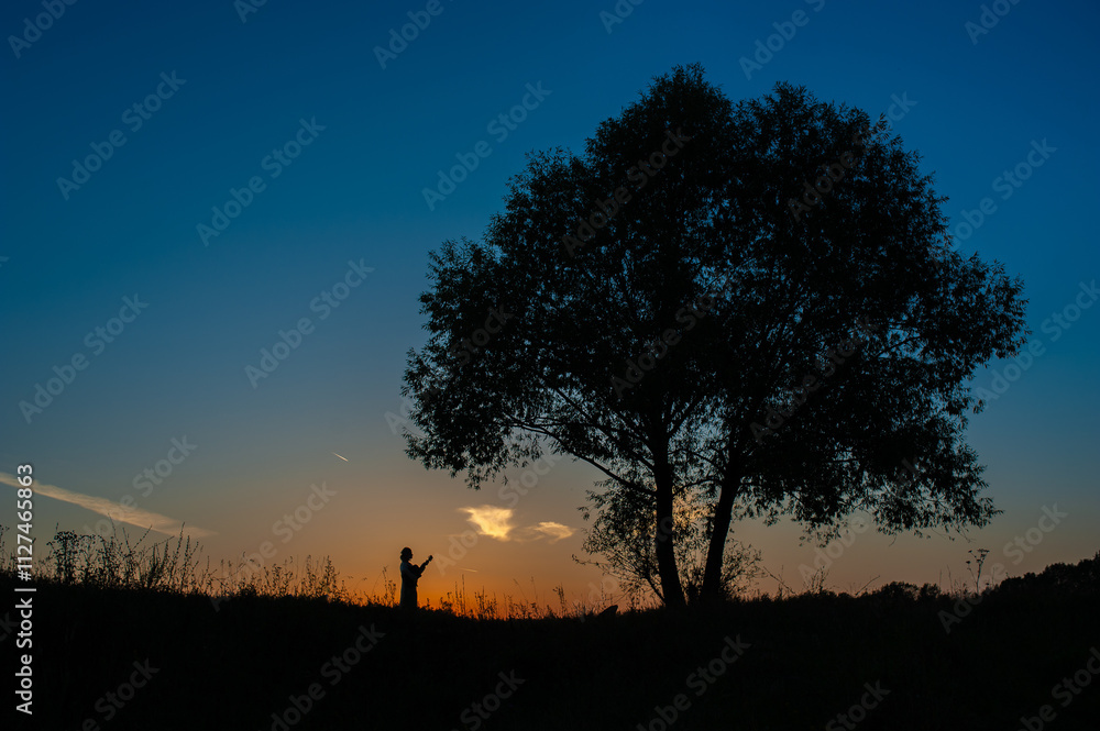 Silhouette of a person under a tree during sunset in a serene countryside scene. Silhouette of a person under a tree during sunset in a serene countryside scene.