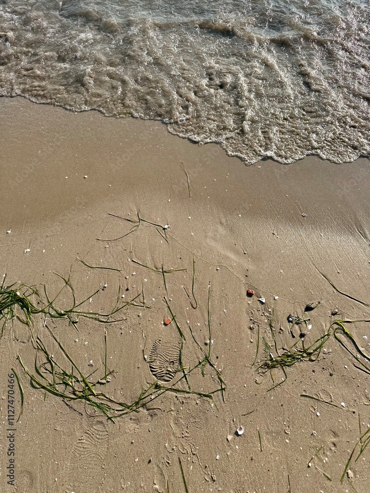 Obraz premium close-up of the sand of a beach with some green algae and the water of the Adriatic sea 