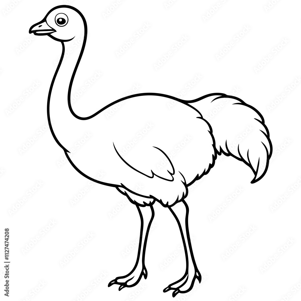 Fototapeta premium ostrich line art vector