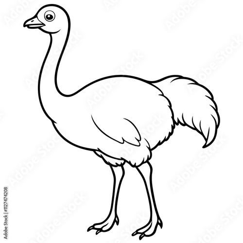 ostrich line art vector