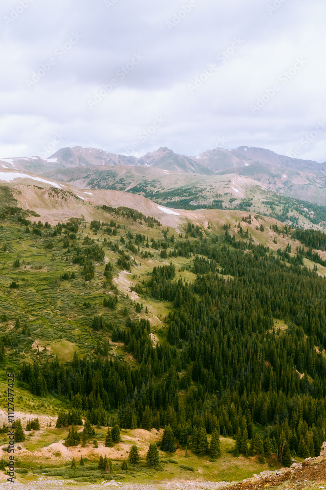Naklejka premium view on mountain with trees and jagged peak in background