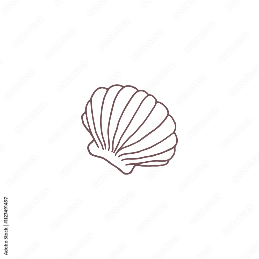 Vector image of a seashell in a contoured graphic style isolated on a white background. Vector image of a seashell in a contoured graphic style isolated on a white background.