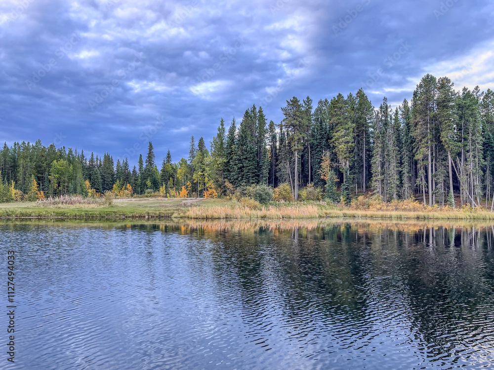 Fototapeta premium Evergreen Forest by Calm Lake on Cloudy Day