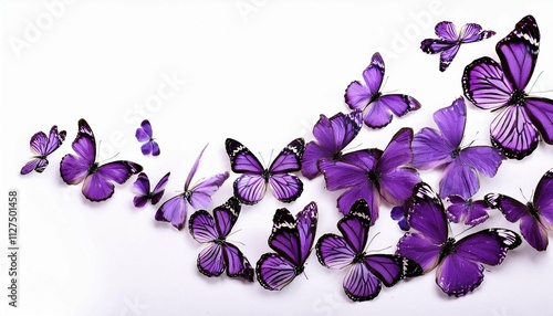flock of purple butterflies on an isolated  background