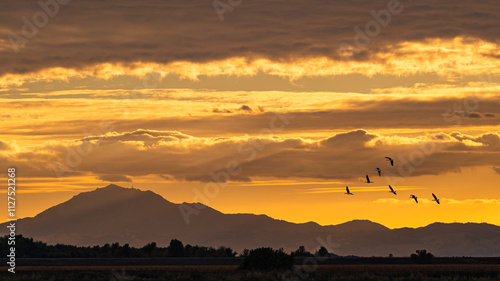 Sunset on the Sacramento-San Joaquin River Delta with Mt. Diablo and flying birds.