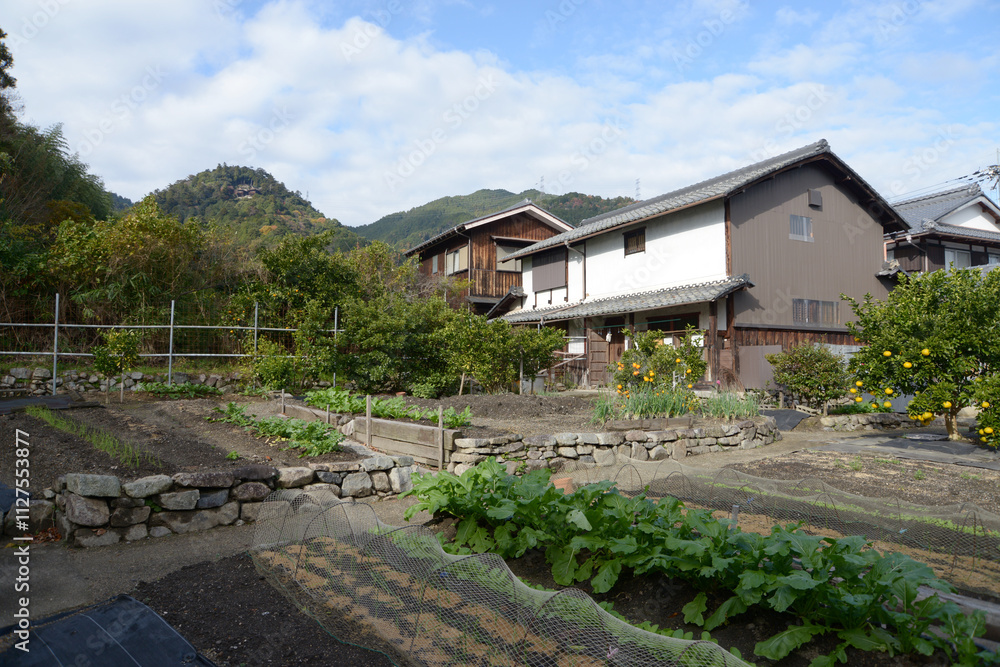 比叡山里坊 農家の畑 滋賀県大津市坂本 比叡山里坊 農家の畑 滋賀県大津市坂本