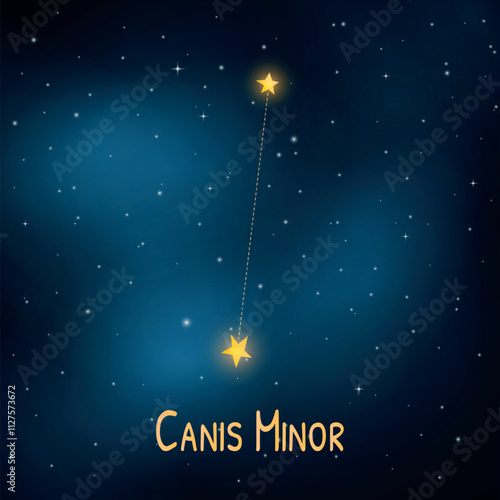Canis minor constellation featuring bright stars in a starry night sky.