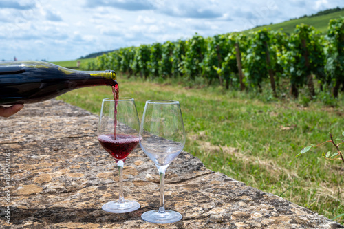 Tasting of red pinot noir wine on grand cru vineyards with cross and stone walls in Cote de nuits, making of famous red and white Burgundy wine in Burgundy region, Vosne-Romanee village photo