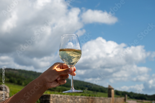 Photos Tasting of high quality white dry wine made from Chardonnay grapes on grand cru