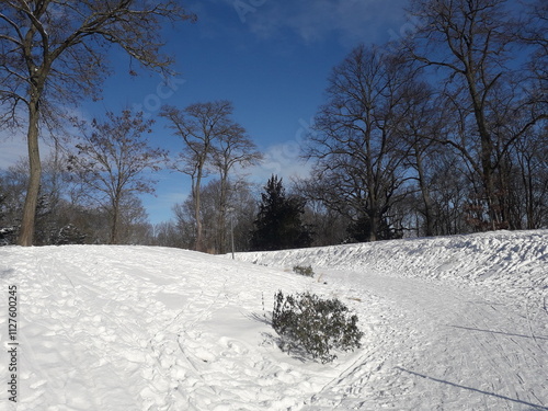 Park im Winter photo