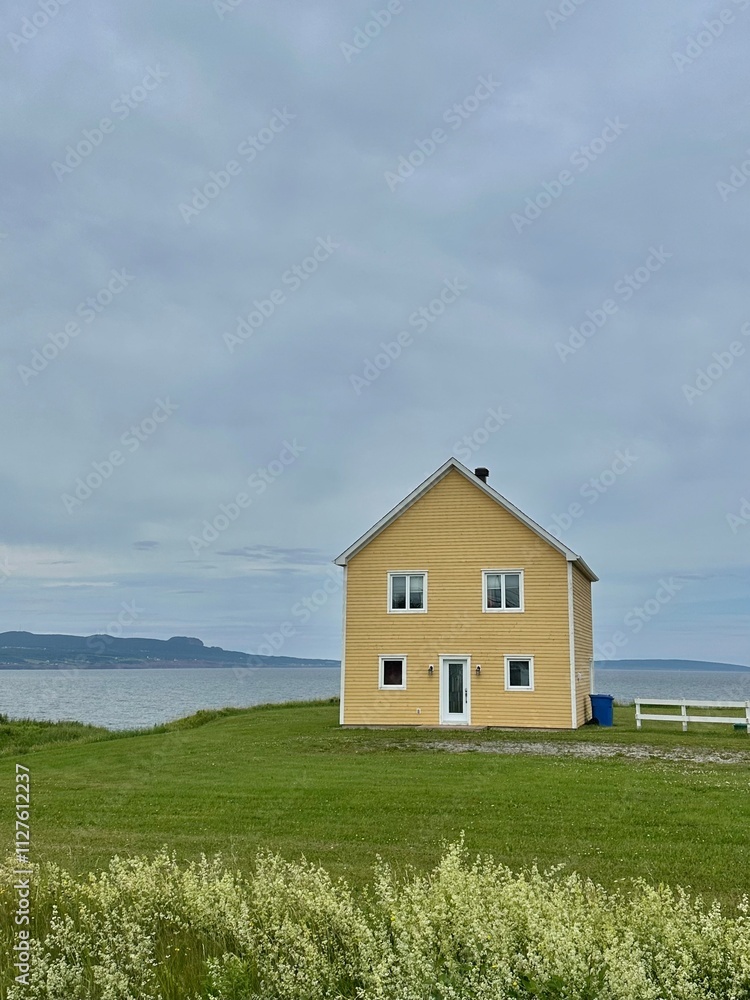 Yellow house Yellow house