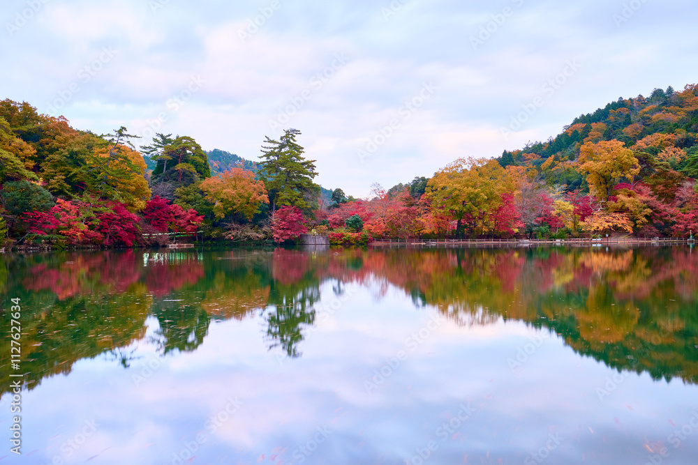 Obraz premium 秋の再度公園