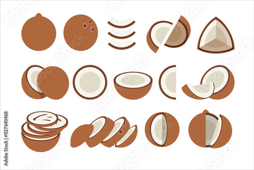 Set of brown coconut, Farm fresh coconut product emblem for grocery shop, Slides, long and cross sections, and different positions, simple flat vector illustration of vegetables and fruits.