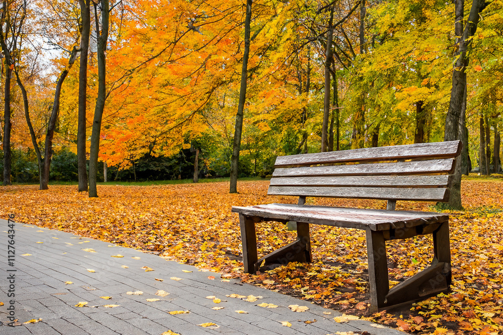 An empty bench a park surrounded by trees. A bench the park with trees autumn. Wooden bench in the forest in autumn. Wooden bench in the forest with autumn trees in lifestyle the park. An empty bench a park surrounded by trees. A bench the park with trees autumn. Wooden bench in the forest in autumn. Wooden bench in the forest with autumn trees in lifestyle the park.