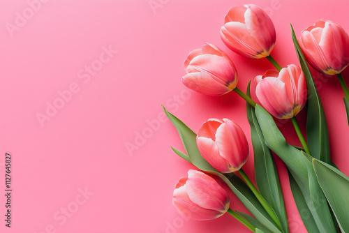 Pink tulips on vibrant pink background