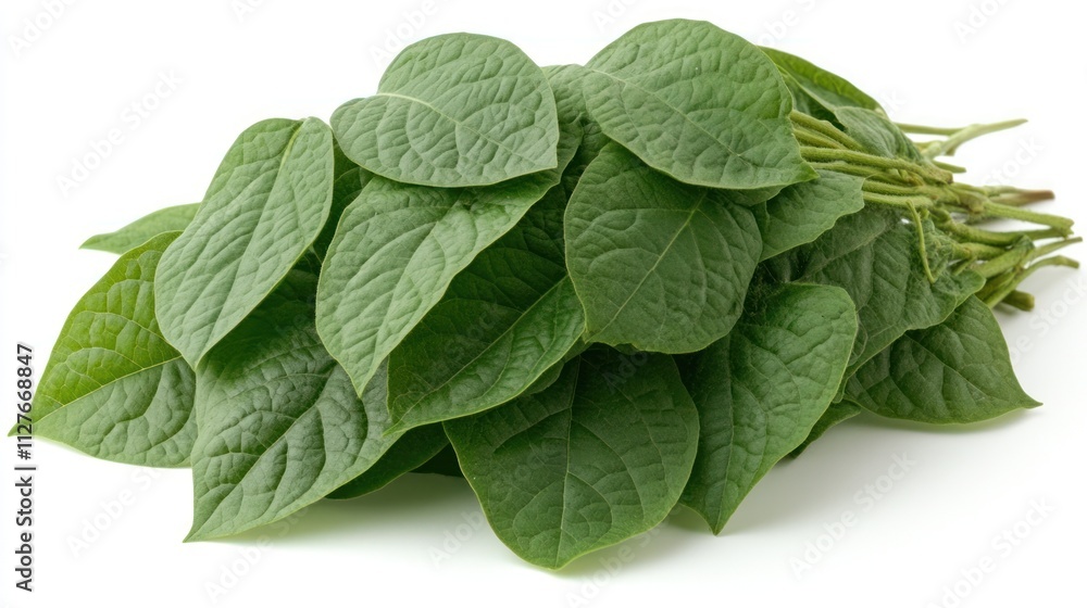Fresh green leaves pile isolated on white. Fresh green leaves pile isolated on white.