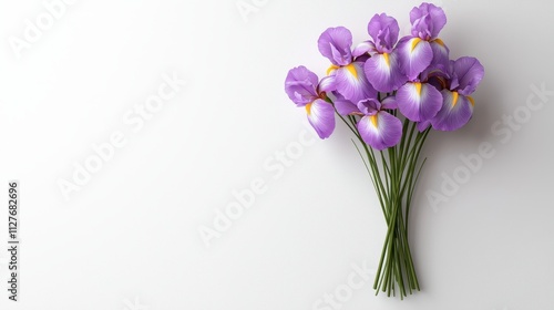 Beautiful Violet Orchids on White Background for Floral Arrangement