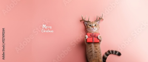 A neutered cat with a red gift box and deer antlers on its head, with the text 